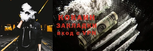 прущие грибы Костерёво