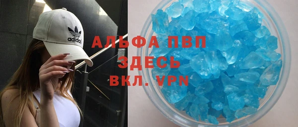 прущие грибы Костерёво