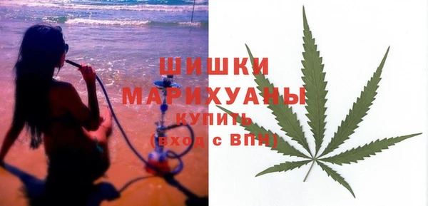 прущие грибы Костерёво
