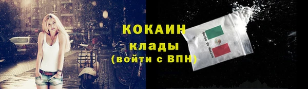 бошки Коряжма