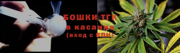 бошки Нижний Тагил