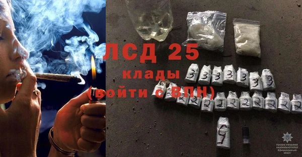 прущие грибы Костерёво