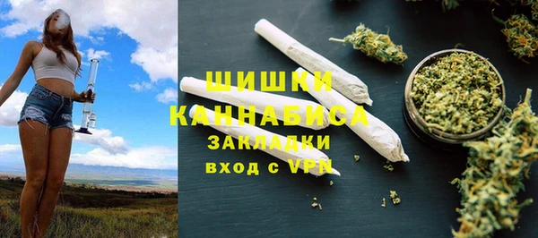 spice Краснослободск