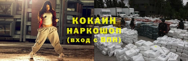 прущие грибы Костерёво