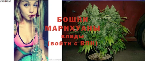 трава Осинники