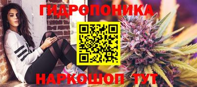 эйфоретик Аргун