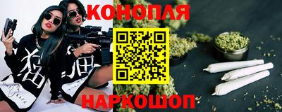 гашик Аргун