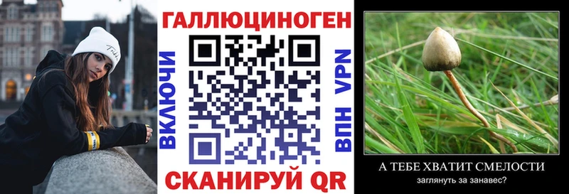Псилоцибиновые грибы мицелий  Великий Новгород 