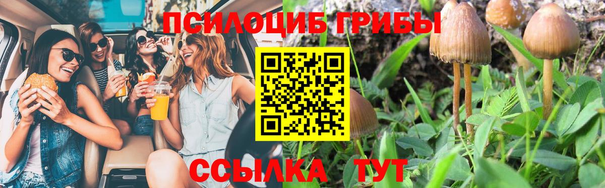 Великий Новгород  Псилоцибиновые грибы GOLDEN TEACHER  Вход с VPN 