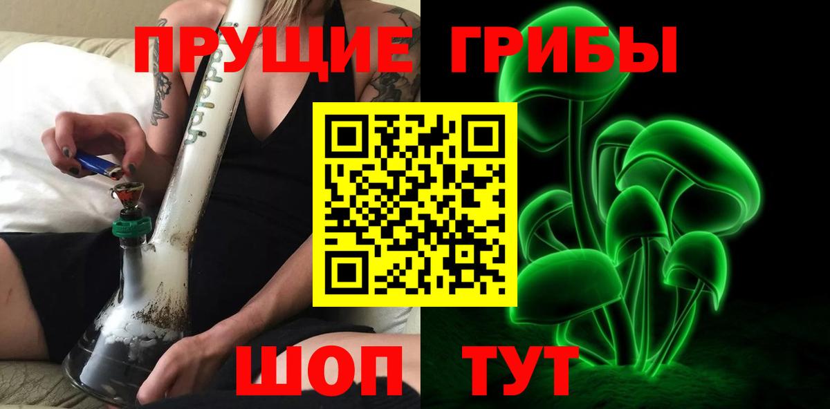 Псилоцибиновые грибы Psilocybine cubensis Великий Новгород